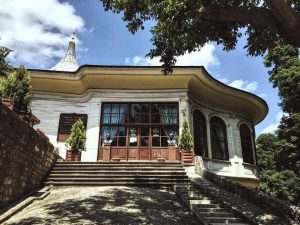 13606830_1012910718805076_920988468605324770_n