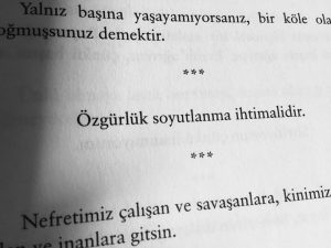 13692468_1017467565016058_883182994495817627_n