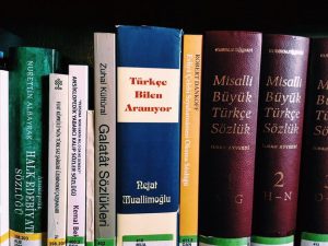 13707578_1012910695471745_2827132046247402625_n