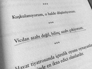 13709776_1017468171682664_3179489353659109221_n