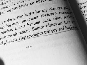 13718597_1017467881682693_2382212695148753293_n