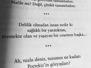 13731697_1017467585016056_8364787894359913390_n