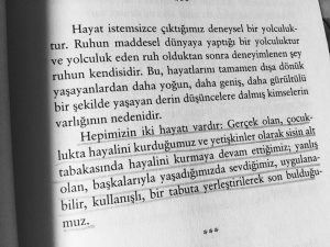 13754342_1017468015016013_8809910800132351604_n