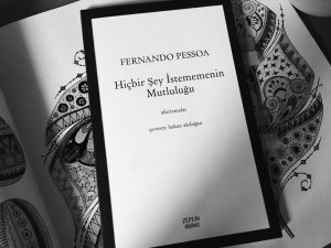 13775577_1017468125016002_278279770951056943_n