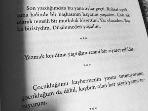 13781872_1017467765016038_8697535899328267112_n