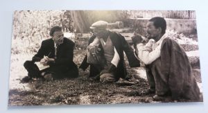 14358871_1121201721267972_2873795382836418761_n