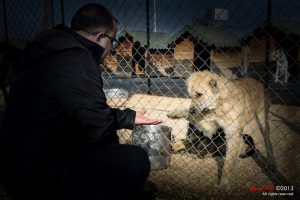 1549310_10152167996813586_1376022814_n