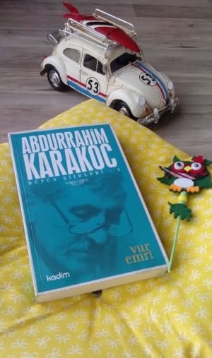 13002529_1693330000950291_9202887204184641010_o