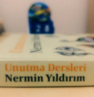 img_20161128_192933405