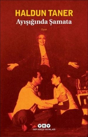 ayisiginda-samata-kitabi-haldun-taner-99838-front-1