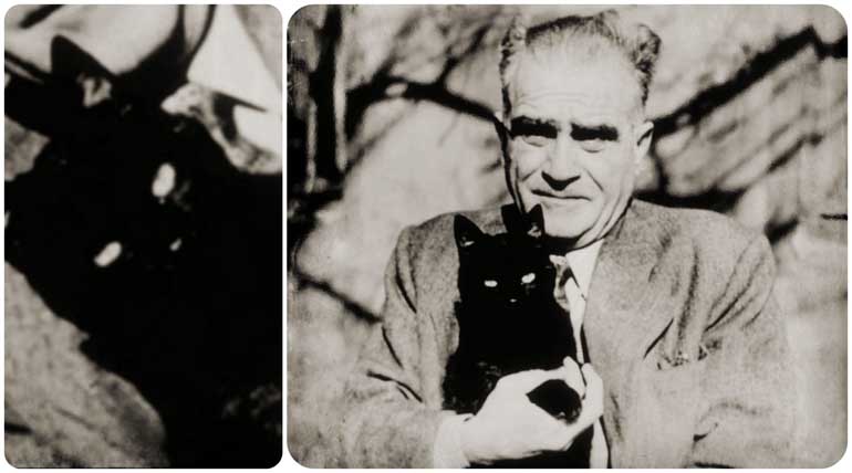 saatleri-ayarlama-enstitusu-romanina-dair-2